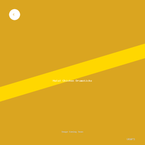 Halal Chicken Drumsticks